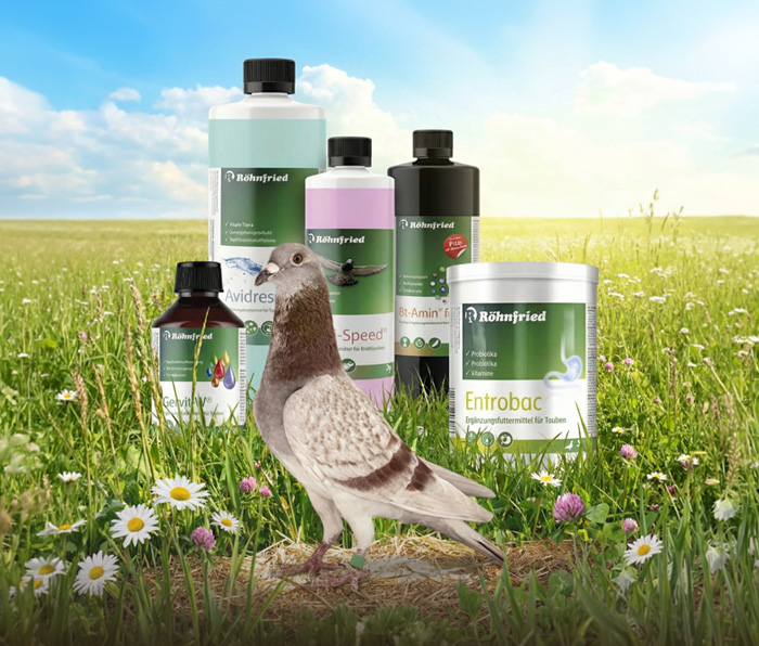 Produkty Röhnfried