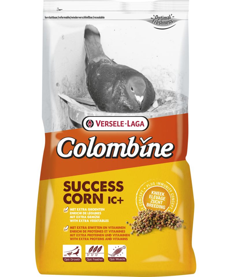 VERSELE LAGA Success Corn IC+ granulat proteinowy, 15 kg