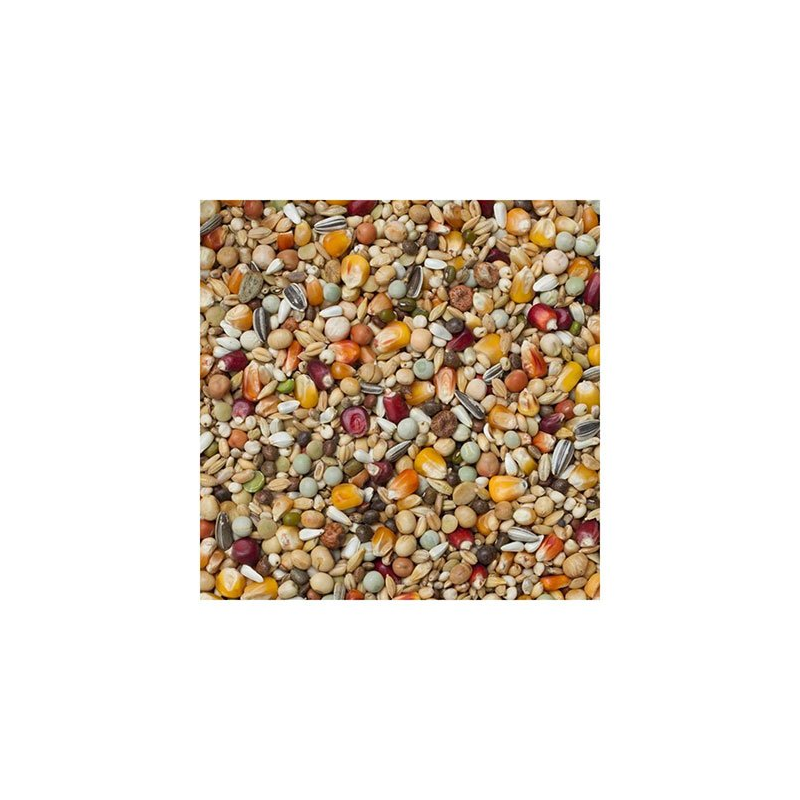 beyers-galaxy-moulting-20kg-pierzeniowa.jpg
