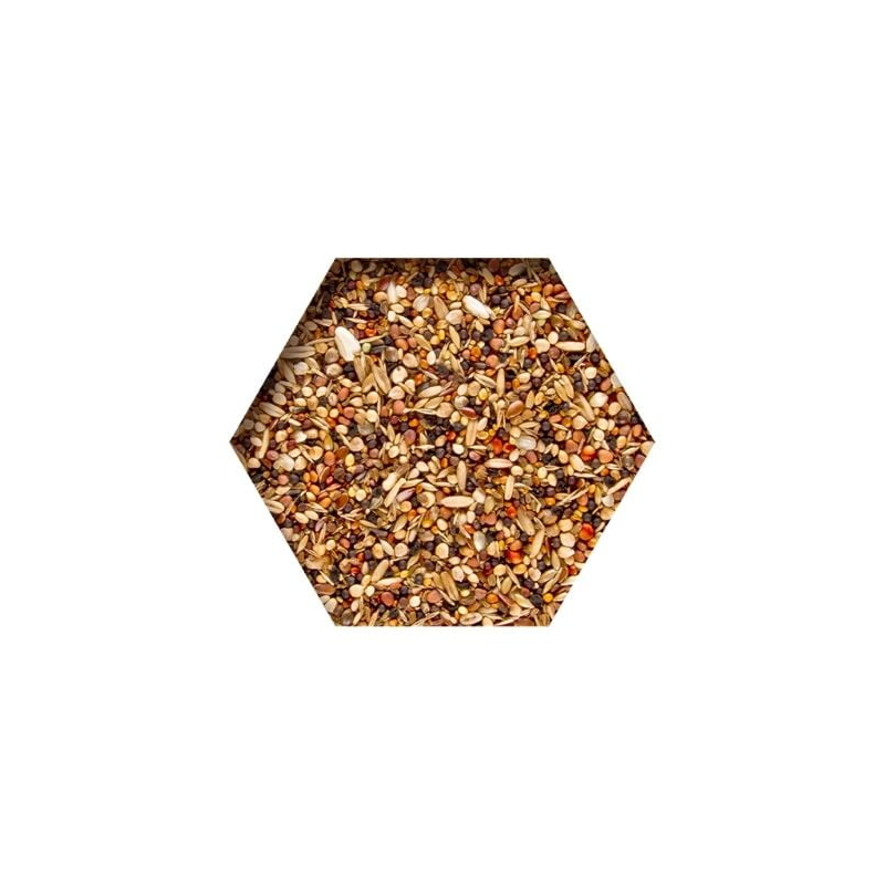 beyers-moulting-support-2kg6-miesz-dzikich-i-oleistych-nasion.jpg