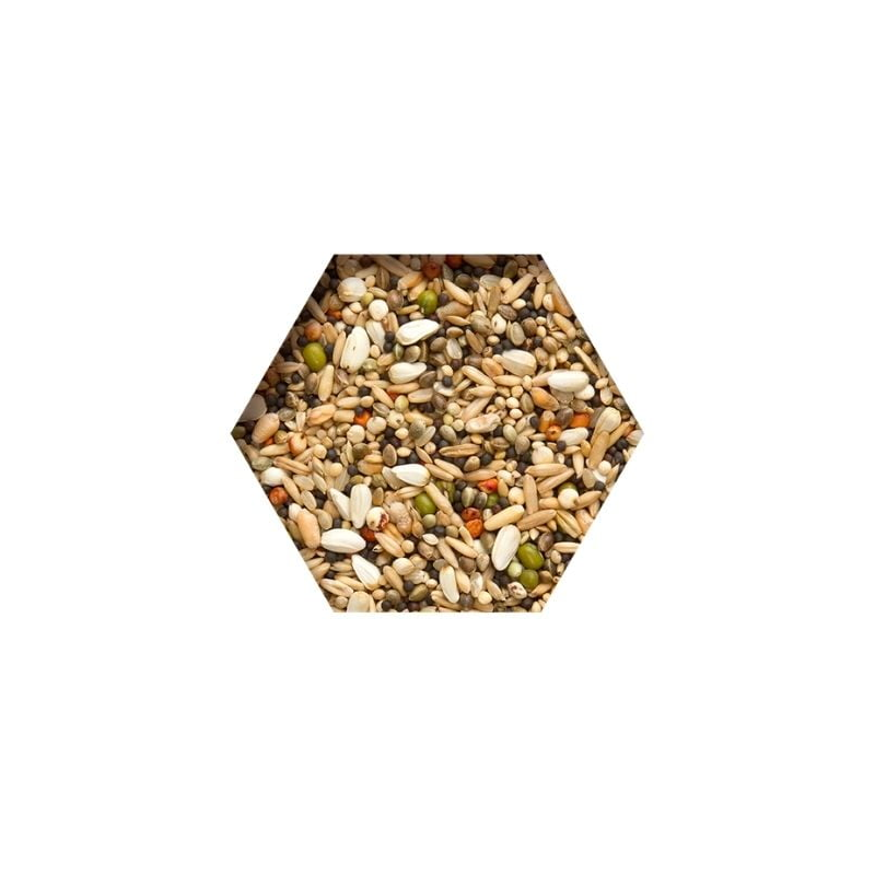 beyers-trapping-mix-25kg6-miesz-nasion-oleisych.jpg