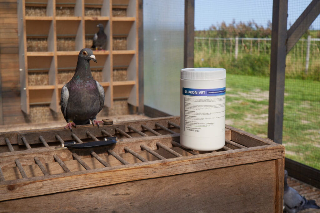 GLUKON-VET--1024x683.jpg