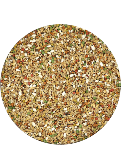 depur.png