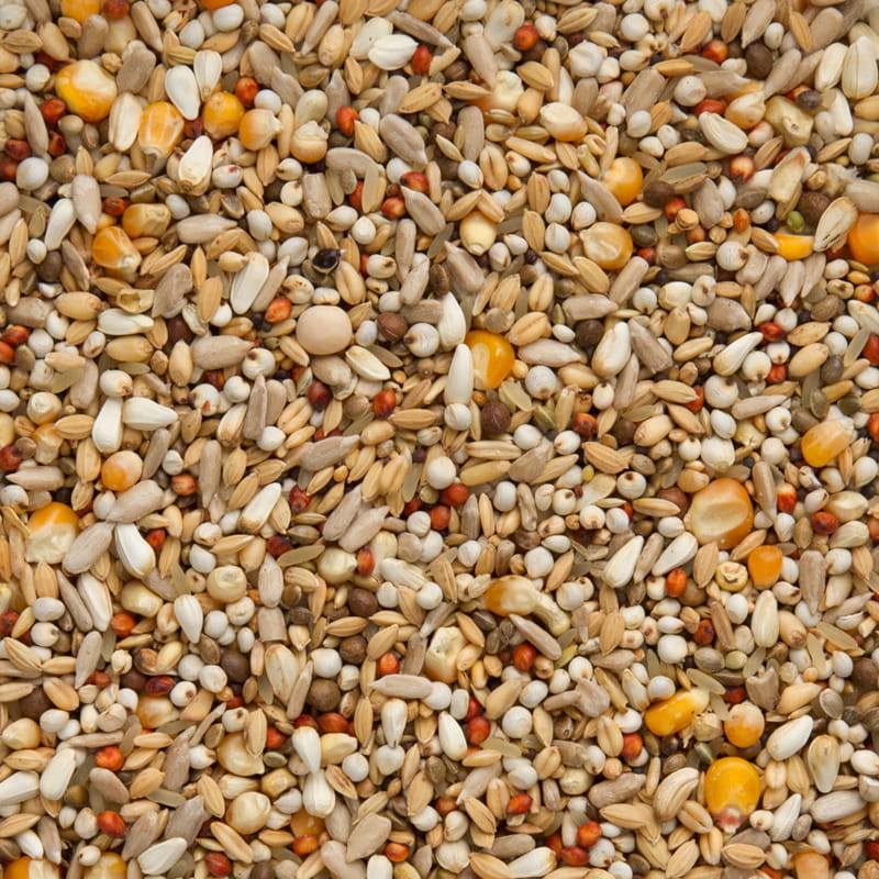 BEYERS - Enzymix 7/47 MS Energy - 20 kg karma energetyczna